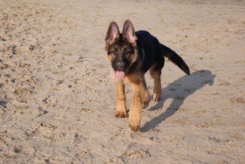 joan op strand
