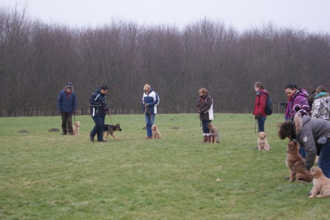 les 1-2-2011