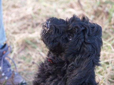 asha in noordwijk 2