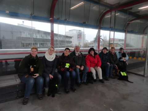 training pups filou 2-1-2011 012