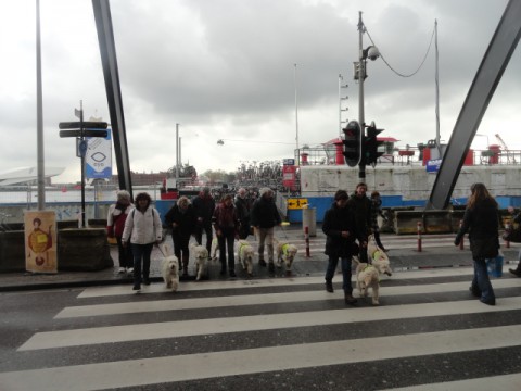 amsterdam 24 april 2012 001