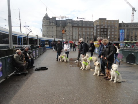 amsterdam 24 april 2012 002