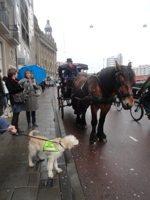 amsterdam 24 april 2012 003