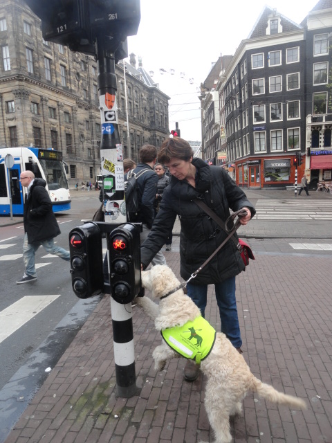amsterdam 24 april 2012 009