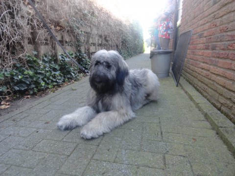 baco en vichy 002