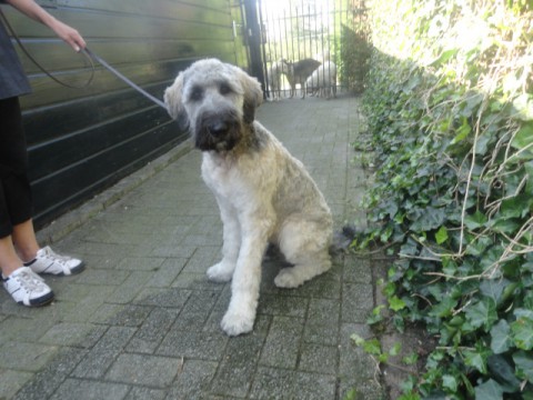 baco en vichy 004