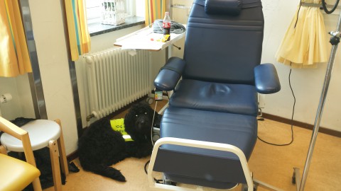 bink in zh