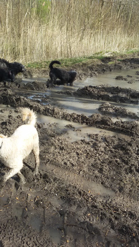 heerlijke wandeling